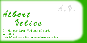 albert velics business card